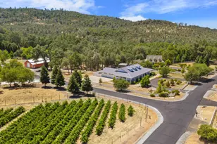 956 Chardonnay Ct, Murphys, CA 95247 - Photo 7