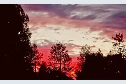 956 Chardonnay Court, Murphys, CA 95247 - Photo 79