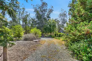 13491 Borden Rd, Herald, CA 95638 - Photo 43