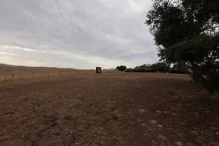 307 Mansfield Rd, Hollister, CA 95023 - Photo 15