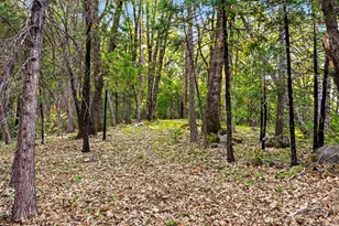 17525 Lazy Dog Rd, Nevada City, CA 95959 - Photo 57