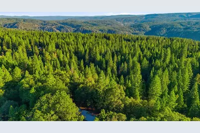 17525 Lazy Dog Road, Nevada City, CA 95959 - Photo 59