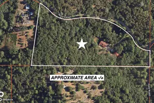 17000 Nina Ln, Fiddletown, CA 95629 - Photo 3