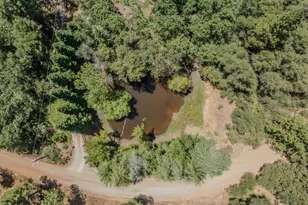17000 Nina Ln, Fiddletown, CA 95629 - Photo 79