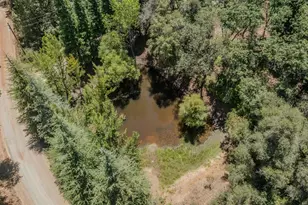 17000 Nina Ln, Fiddletown, CA 95629 - Photo 81