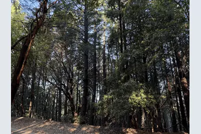 8989 Dooty Ridge Road, Garberville, CA 95542 - Photo 3