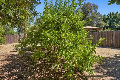1550 Castec Drive, Sacramento, CA 95864 - Photo 49