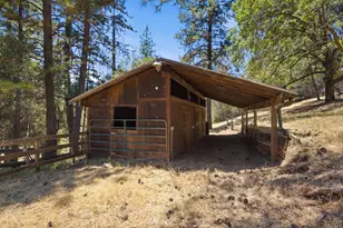 2202 Big Nugget Ct, Cool, CA 95614 - Photo 41