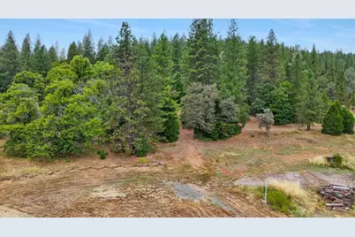 8979 La Porte Road, Brownsville, CA 95919 - Photo 61