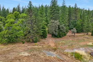 8979 La Porte Rd, Brownsville, CA 95919 - Photo 61