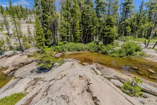 1 Magonigal Rd, Soda Springs, CA 95728 - Photo 97