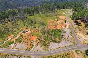 112 Grizzly Flat Rd, Grizzly Flats, CA 95636 - Photo 9