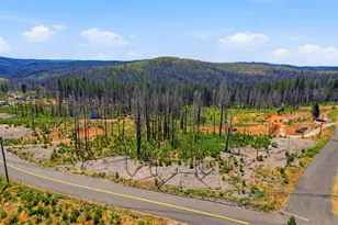 112 Grizzly Flat Rd, Grizzly Flats, CA 95636 - Photo 1