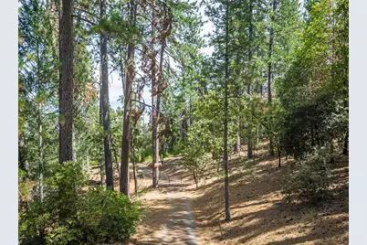 0 Heather Glen Dr, Applegate, CA 95703 - Photo 5