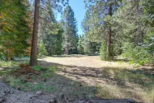530 Caine Rd, Alta, CA 95701 - Photo 23
