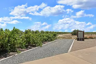 1844 W Highway12, Lodi, CA 95242 - Photo 21