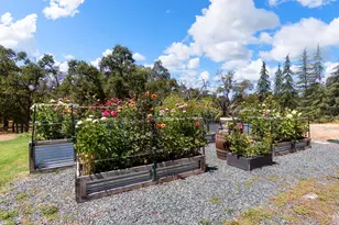 4245 Burnett Rd, Lincoln, CA 95648 - Photo 51