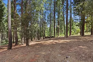 5285 McKeon Ponderosa Way, Foresthill, CA 95631 - Photo 43