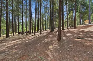 5285 McKeon Ponderosa Way, Foresthill, CA 95631 - Photo 43