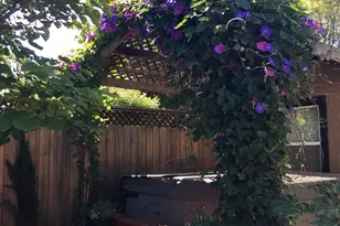 2701 58th St, Sacramento, CA 95817 - Photo 5