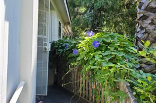 Full Circle, Davis, CA 95618 - Photo 35