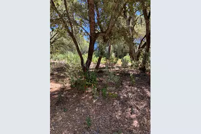 685 Grant Lane, Murphys, CA 95247 - Photo 1