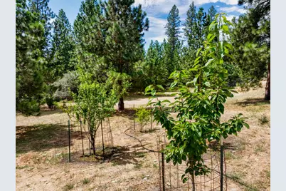 15264 Airport Road, Nevada City, CA 95959 - Photo 19