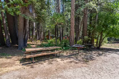 3487 Gardner Flat Road, Dorrington, CA 95223 - Photo 37