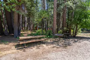 3487 Gardner Flat Rd, Dorrington, CA 95223 - Photo 37