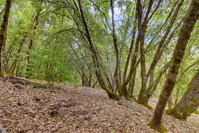 16020 Brooks Road, Grass Valley, CA 95945 - Photo 7