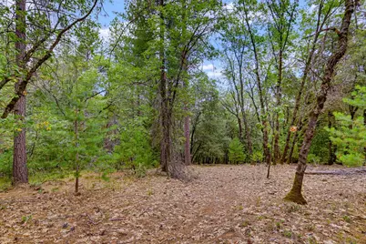 16020 Brooks Road, Grass Valley, CA 95945 - Photo 5