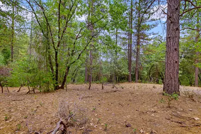 16020 Brooks Road, Grass Valley, CA 95945 - Photo 11