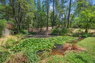 5131 Hackomiller Rd, Garden Valley, CA 95633 - Photo 33