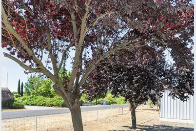 29120 Main Street, Dunnigan, CA 95937 - Photo 47