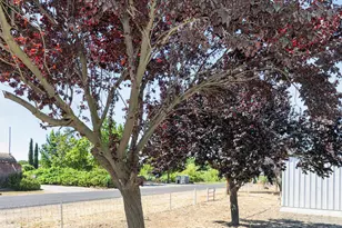 29120 Main St, Dunnigan, CA 95937 - Photo 47