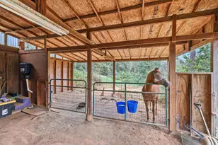4321 Greenwood Rd, Garden Valley, CA 95633 - Photo 33