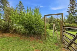 4321 Greenwood Rd, Garden Valley, CA 95633 - Photo 43