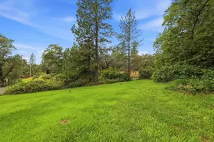4321 Greenwood Rd, Garden Valley, CA 95633 - Photo 41