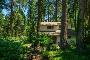 6801 Onyx Trail, Pollock Pines, CA 95726 - Photo 29