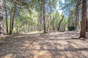 29330 Bear Paw Ln, Foresthill, CA 95631 - Photo 69