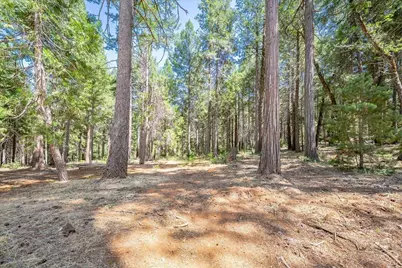 29330 Bear Paw Lane, Foresthill, CA 95631 - Photo 67