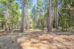 29330 Bear Paw Ln, Foresthill, CA 95631 - Photo 67