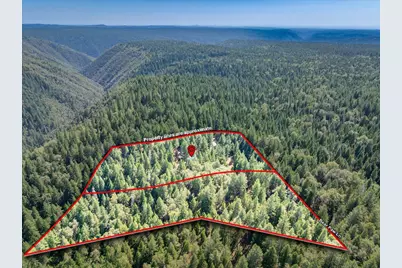29330 Bear Paw Lane, Foresthill, CA 95631 - Photo 77