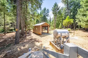 29330 Bear Paw Ln, Foresthill, CA 95631 - Photo 43