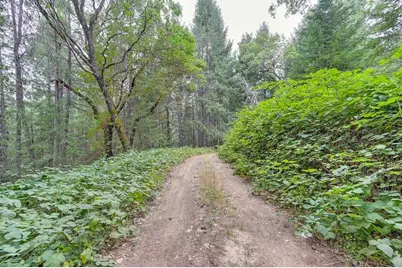 3701 Marshall Road, Garden Valley, CA 95633 - Photo 3