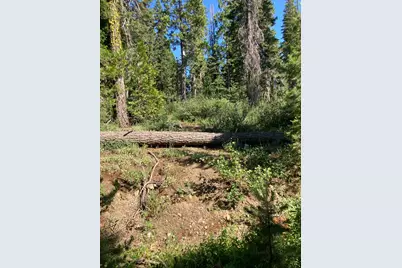 180 Bucks Meadow Drive, Bucks Lake, CA 95971 - Photo 5