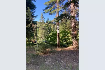 180 Bucks Meadow Drive, Bucks Lake, CA 95971 - Photo 19