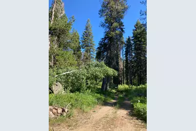 180 Bucks Meadow Drive, Bucks Lake, CA 95971 - Photo 1