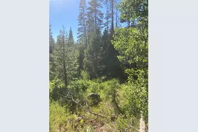 180 Bucks Meadow Drive, Bucks Lake, CA 95971 - Photo 13
