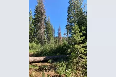 180 Bucks Meadow Drive, Bucks Lake, CA 95971 - Photo 7